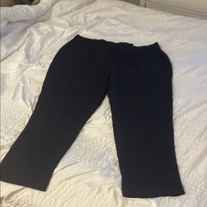 Lane Bryant Navy Ankle Pants